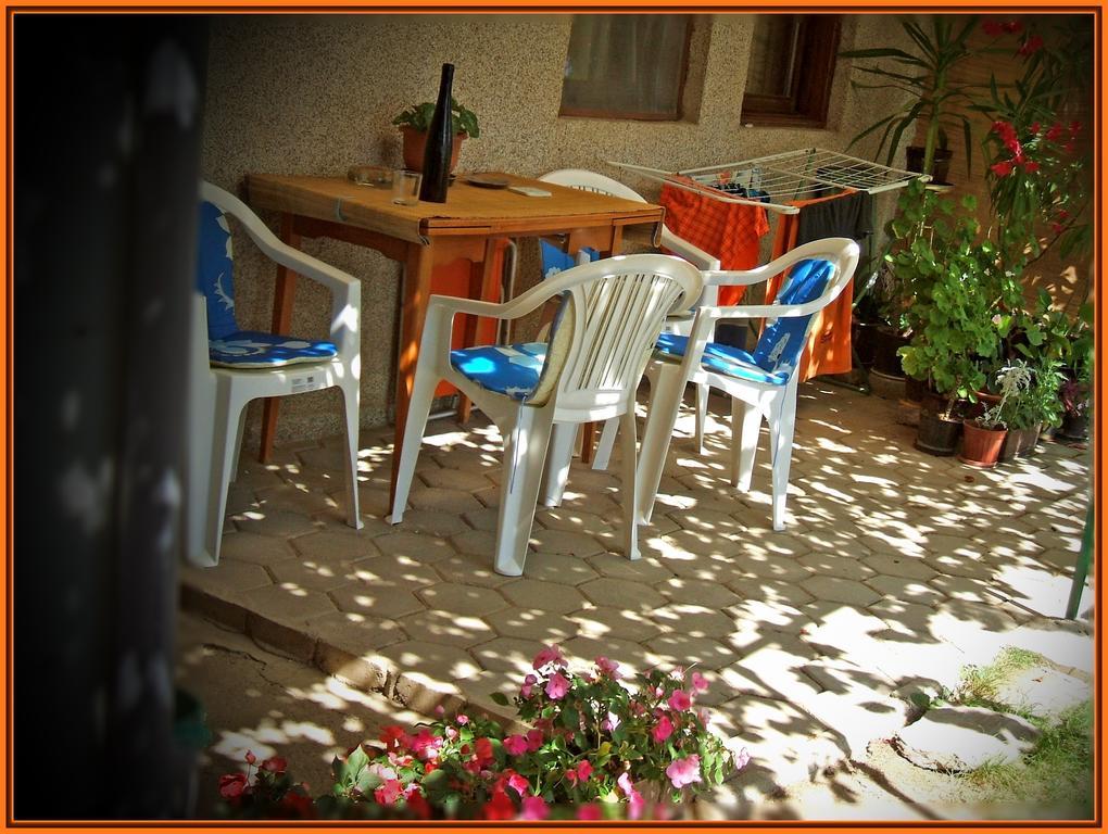 Zura Apartments Ohrid Rum bild
