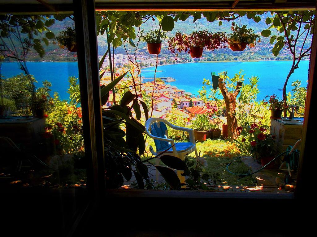 Zura Apartments Ohrid Rum bild