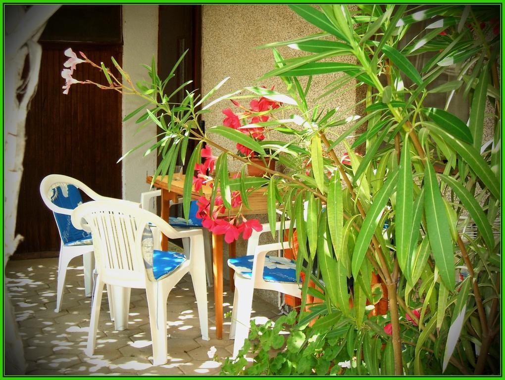 Zura Apartments Ohrid Rum bild